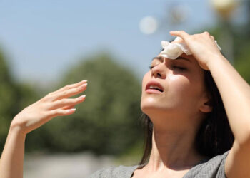 Pangea Ultima: Calor apocalíptico amenaza con borrar mamíferos del mapa