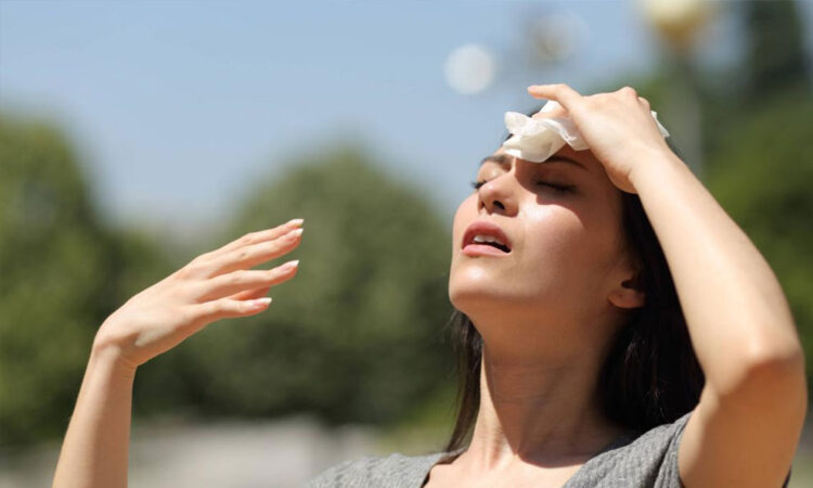 Pangea Ultima: Calor apocalíptico amenaza con borrar mamíferos del mapa