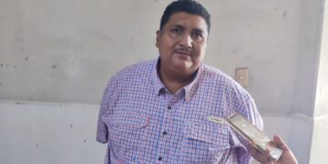Reportan desnutrición de ganado en Tamaulipas