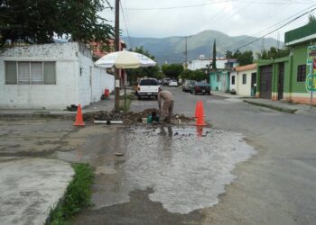 Pide diputada Alejandra Cárdenas utilizar fideicomiso de Capitalidad para reparar fugas de agua