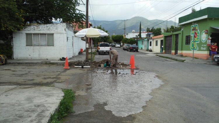 Pide diputada Alejandra Cárdenas utilizar fideicomiso de Capitalidad para reparar fugas de agua