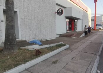 Muere al caer de 9 metros de altura, podaba una palmera