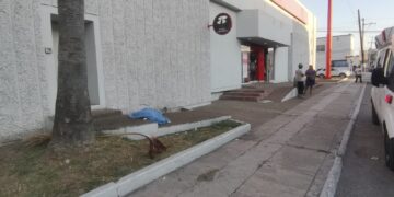 Muere al caer de 9 metros de altura, podaba una palmera