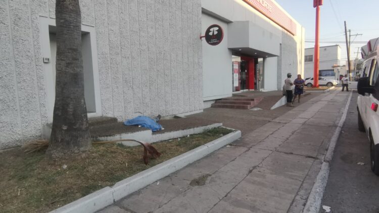 Muere al caer de 9 metros de altura, podaba una palmera