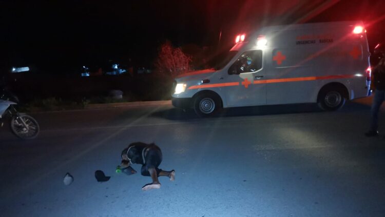 Vehículo arrolla a un peatón en el Eje Vial Lázaro Cárdenas.