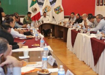 Operativos de seguridad en colonias y transporte en Victoria dan resultado.