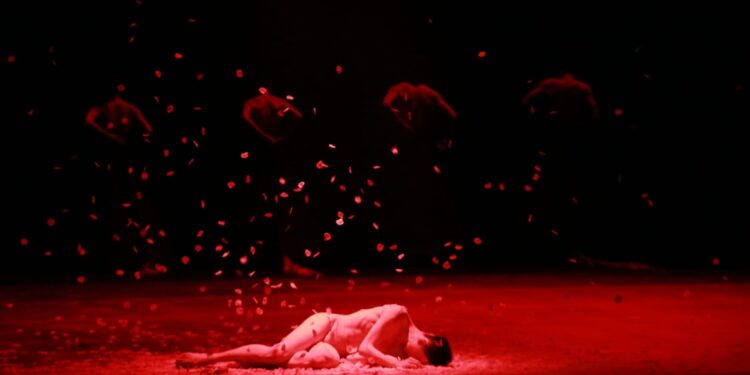 Danza contemporánea de China presente en el Festival de la Costa del Seno Mexicano