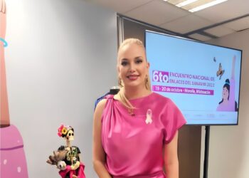 Participa Tamaulipas en reunión del Banco Nacional de Datos e Información sobre Casos de Violencia contra las Mujeres