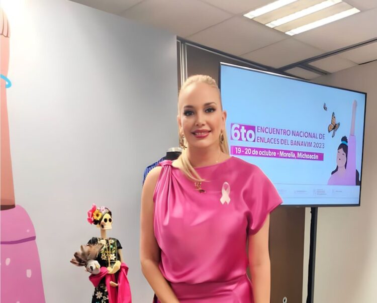 Participa Tamaulipas en reunión del Banco Nacional de Datos e Información sobre Casos de Violencia contra las Mujeres