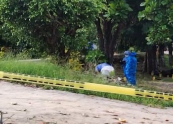 Emboscan y ejecutan a once policías en Coyuca de Benítez, Guerrero