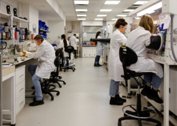 Científicos descubren 8 nuevos virus en China; uno de ellos es ‘primo’ del covid-19