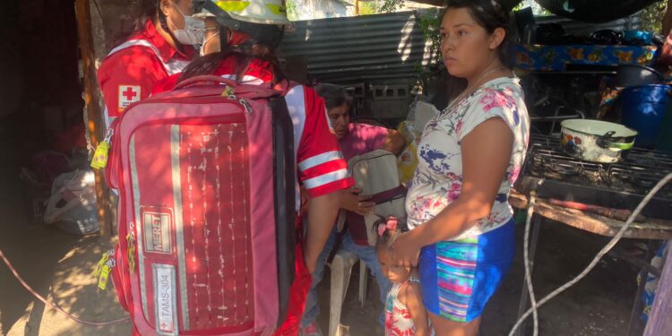 Fuego arrasa con domicilio y hasta con animales