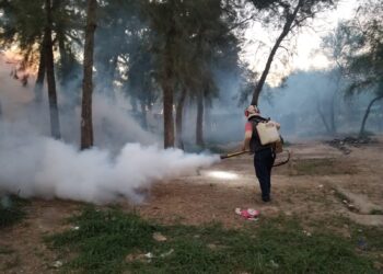 Refuerza Secretaría de Salud campaña de prevención contra el dengue en Tamaulipas