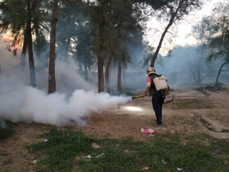 Refuerza Secretaría de Salud campaña de prevención contra el dengue en Tamaulipas