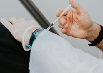 Europa y África se convierten en el epicentro de la gripe aviar, revela estudio global