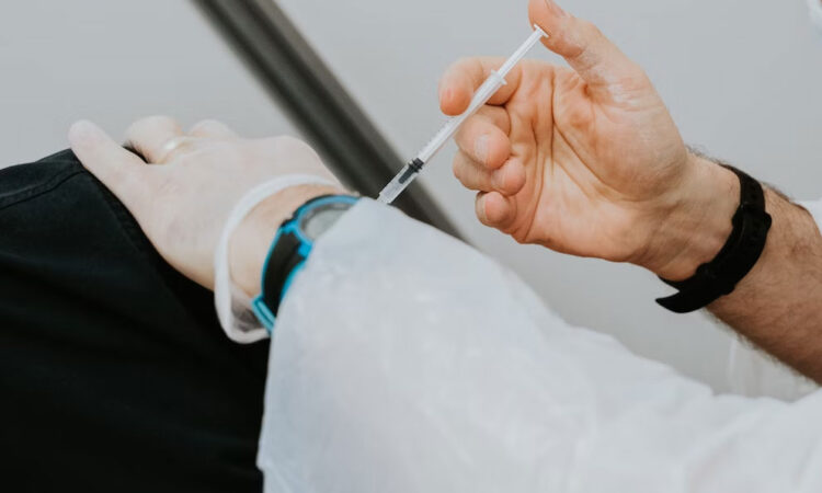 Europa y África se convierten en el epicentro de la gripe aviar, revela estudio global