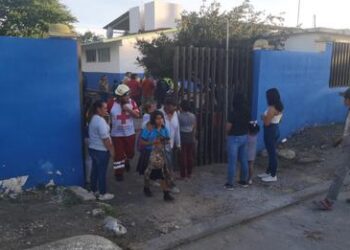 Ataca enjambre a estudiantes, cinco resultaron con picaduras