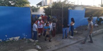 Ataca enjambre a estudiantes, cinco resultaron con picaduras