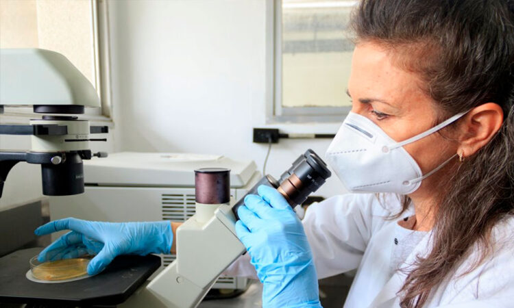 Mujeres en Venezuela dominan el campo de la investigación científica