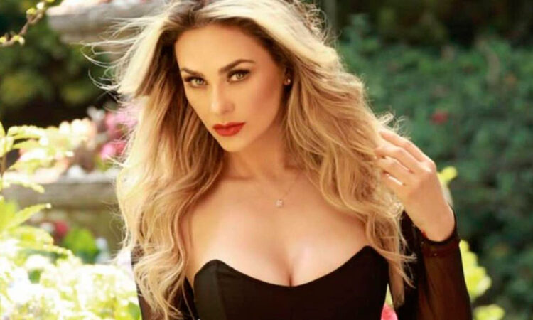 Aracely Arámbula demanda a Luis Miguel