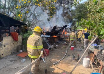 Fuego arrasa con domicilio y hasta con animales
