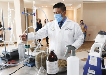 Destaca la UAT incremento de docentes en el Sistema Nacional  de Investigadores