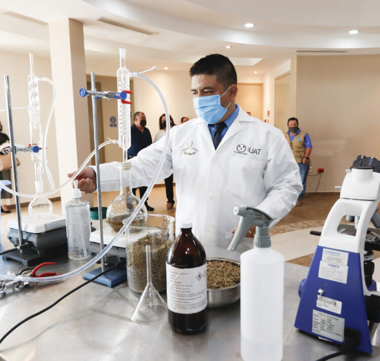 Destaca la UAT incremento de docentes en el Sistema Nacional  de Investigadores