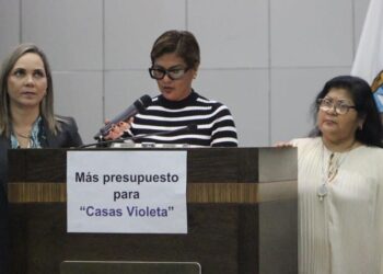 Piden destinar recursos suficientes para las Casas Violeta