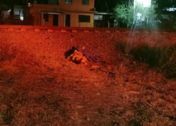 Hallan cadáver a un lado de las vías del tren en Cd. Victoria