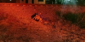 Hallan cadáver a un lado de las vías del tren en Cd. Victoria