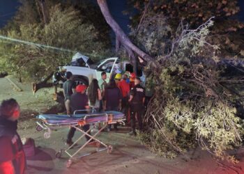 Ebrio estrella camioneta con placas de UCD contra árbol en Bulevar Tamaulipas