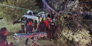 Ebrio estrella camioneta con placas de UCD contra árbol en Bulevar Tamaulipas