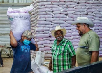 Anuncia SADER 21 mil pesos como precio de garantía a tonelada de frijol