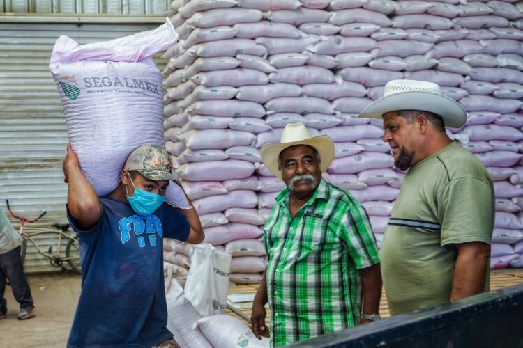 Anuncia SADER 21 mil pesos como precio de garantía a tonelada de frijol