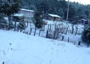 Caen las primeras nevadas del 2023 en la Sierra Tarahumara de Chihuahua