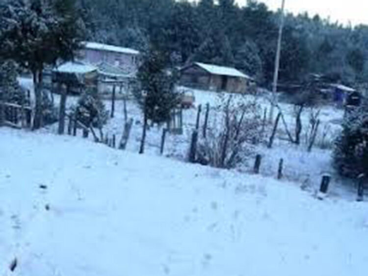 Caen las primeras nevadas del 2023 en la Sierra Tarahumara de Chihuahua