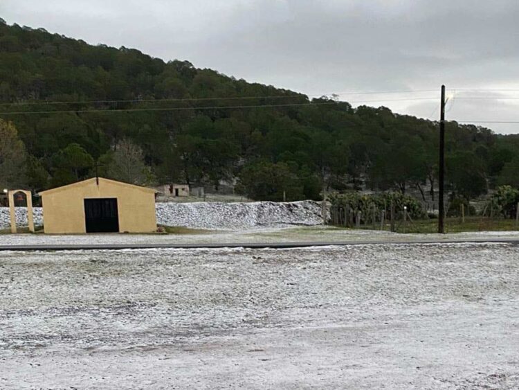 Reportan caída de aguanieve en Galeana, Nuevo León