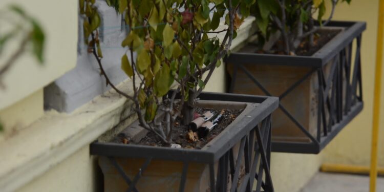 Retiran militares artefactos “explosivos” de jardinera del Casino Victorense, frente al Palacio de Gobierno