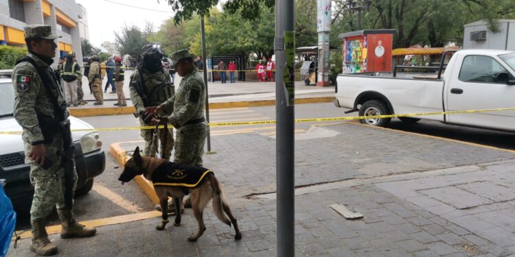 Retiran militares artefactos “explosivos” de jardinera del Casino Victorense, frente al Palacio de Gobierno