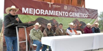 Llevan programa de mejoramiento genético ganadero a Burgos, Méndez y San Fernando
