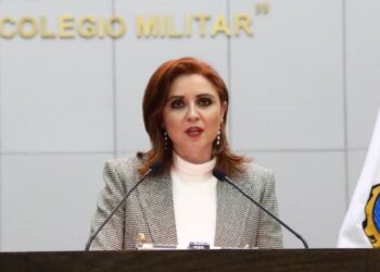 Pide Diputada Imelda San Miguel informe del gasto estatal en seguridad pública