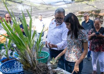Promueve UAT el cultivo y conservación de orquídeas