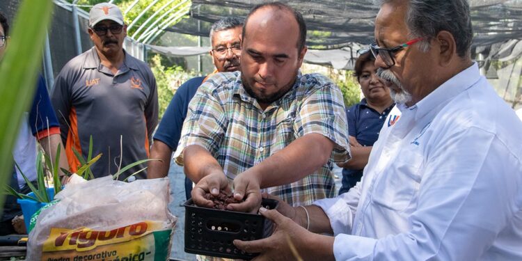 Promueve UAT el cultivo y conservación de orquídeas