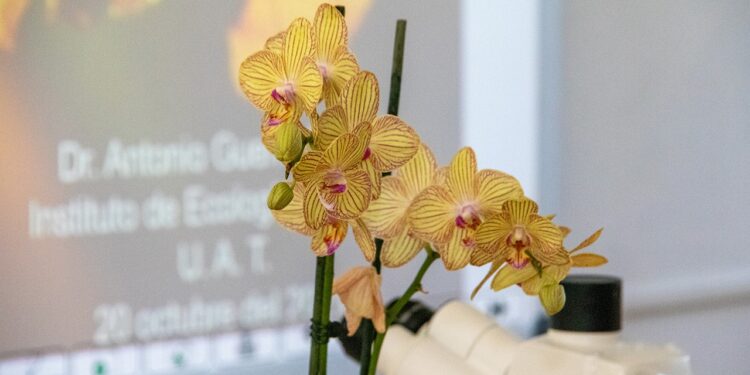 Promueve UAT el cultivo y conservación de orquídeas
