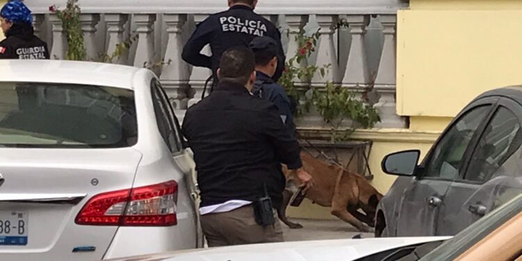 Supuestas bombas frente a Gobierno moviliza a corporaciones