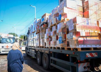 Rusia envía 190 toneladas de ayuda humanitaria a Gaza