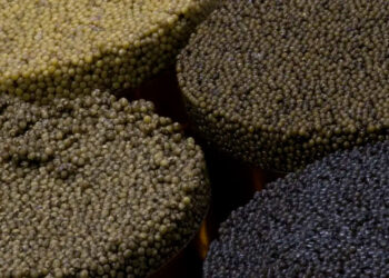 Estudio revela que la mitad del caviar europeo analizado es ilegal