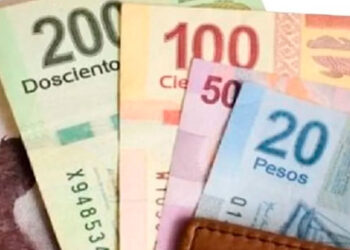 Previsión de especialistas: Incremento del 18 al 20% en salario mínimo para 2024