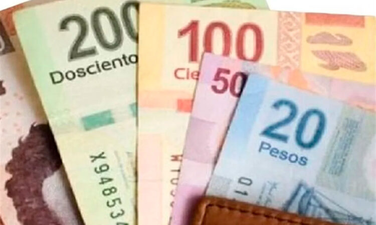 Previsión de especialistas: Incremento del 18 al 20% en salario mínimo para 2024