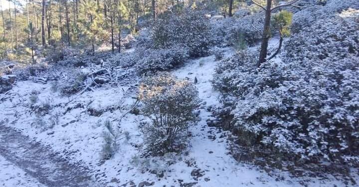 Nieva en  Miquihuana